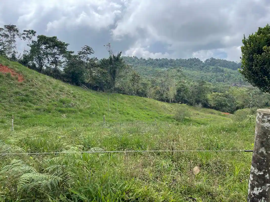 Finca Alto Gaviota